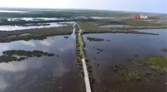 Kuş Cenneti'nin güzelliğine havadan bakış