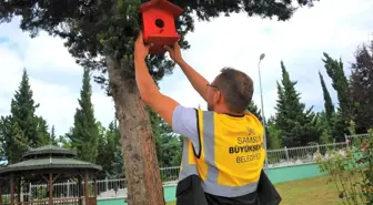 Samsun haberleri | Samsun'da atık ahşaplar kuş evlerine dönüştü