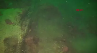 PROF. DR. AYAZ MARMARA ADASI'NDA DENİZ DİBİ AĞ MEZARLIĞI HALİNE GELDİ