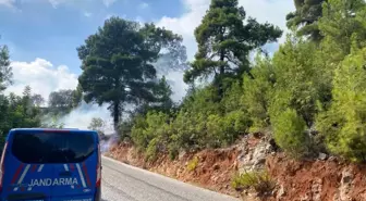 Son dakika haberleri... Alanya'da orman yangını