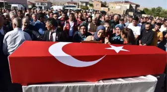 Son dakika haberleri... Şehit Uzman Çavuş Borlu, Niğde'de son yolculuğuna uğurlandı