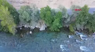 MİLLİ PARKTAKİ YABAN HAYVANLARI, ARAÇLAR VE PİKNİKÇİLER NEDENİYLE SUYA ULAŞAMIYOR
