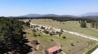 Osmanlı'nın yaylasındaki bungolovlar bakımsızlıktan yıkılıyor