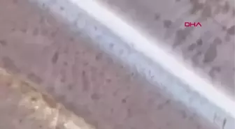 FISTIK BAHÇESİNDEKİ SİLAHLI SALDIRI KAMERADA