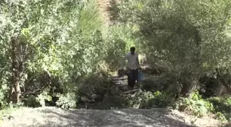 Hakkarili arıcının dağlardan güçlükle topladığı kaya balı ilgi görüyor