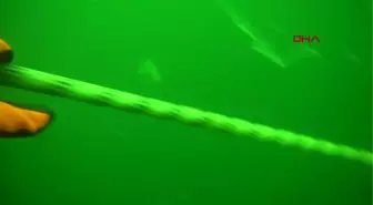 PROF. DR. AYAZ DENİZ SUYUNDA HIZLI SOĞUMA OLURSA MÜSİLAJLA TEKRAR KARŞI KARŞIYA KALMAYIZ