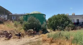 Aydınoğulları Beyliği'nin kurucusu Mehmet Bey'in kız kardeşinin türbesi bulundu