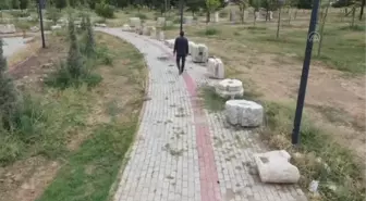 Laodikya Antik Kenti'nin kalıntıları 'arkeopark'ta sergilenecek