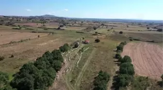 Balıkesirli gezgin arıcı zengin florası için 'Edirneli' oldu