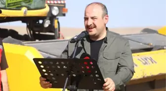 Varank ve Kirişci, ilk yerli hibrit ayçiçeğini hasat etti