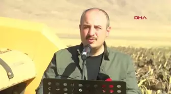 Varank ve Kirişci, ilk yerli hibrit ayçiçeğini hasat etti