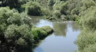 Kütahya gündem: Simav Çayı'ndaki kirlilik ve kokuya tepki
