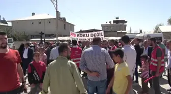 Van gündem haberleri... Arıtma Tesisinden Bırakılan Kanalizasyon Suyu Van Gölü'nün Kıyı Bandını Kahverengiye Boyadı, Mahalleli Kokudan Duramıyor