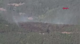 Son dakika haberi: TOKAT ORMAN YANGINI