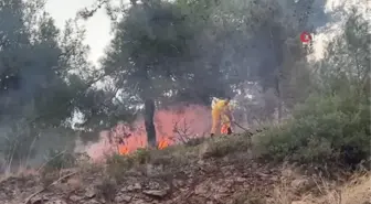 Son dakika haber! Hatay'da ormanlık alanda çıkan yangın evlere sıçramadan söndürüldü