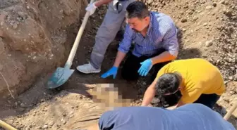 2 yıl önce kayıp ilanı verilmişti! 3 çocuk annesi Yasemin'in cinayete kurban gittiği ortaya çıktı