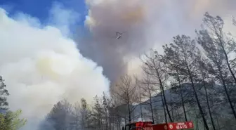 Muğla haber! Marmaris'te alevlerle mücadele 7 saattir devam ediyor