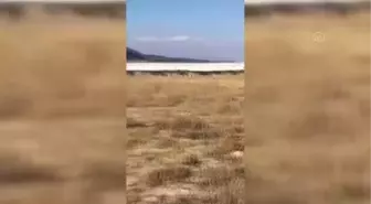 Denizli'de yangın söndürme helikopteri düştü