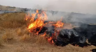 Adır Adası'ndaki yangın bugün tekrar başladı