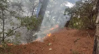 Son dakika haber | Amanoslar'da yıldırım düşmesiyle çıkan yangın söndürüldü