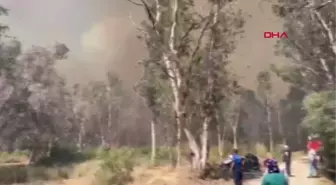 Son dakika haberleri | ANTALYA'DA 3 SAATTE SÖNDÜRÜLEN YANGIN YENİDEN BAŞLADI