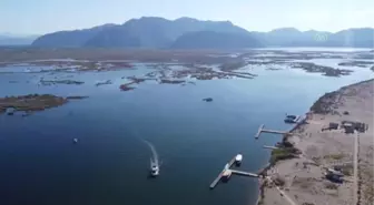 Dünyaca ünlü Dalyan İztuzu plajında deniz dibi temizliği