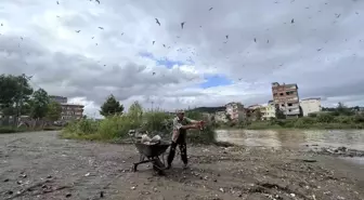 Hayatını aç hayvanları doyurmaya adadı