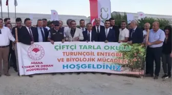 Narenciye alanlarına faydalı böcek salındı