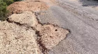 Barınak yolu adeta köstebek yuvasına döndü