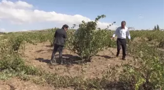 Dolu ve selden zarar gören köylerde hasar tespit çalışması