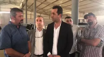 Niğdeli Süt Üreticisi: 'Süt İhracatı Durduruldu. Süt Üretimi Durdu Bunun Yanında, Damızlık Hayvanlar Kesine Gidiyor'