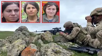 Turuncu ve gri kategorilerde aranan 3 PKK'lı terörist Diyarbakır'da etkisiz hale getirildi