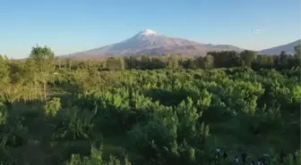 Doğa kampı yapan ilkokul öğrencileri 'çevreye duyarlı' büyüyor