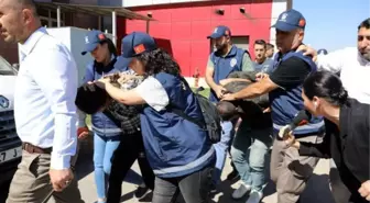 LİNA'NIN DERİN DONDURUCUDA CESEDİNİN BULUNMASINDA 3 ŞÜPHELİ ADLİYEDE