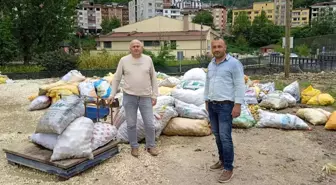 Ordu ekonomi haberleri... Ordu'da toptan elma alımları sürüyor