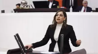 CHP'li Candan Yüceer'den 'Bireysel silahlanma' tepkisi: 280 kadın cinayetinden 134'ü ateşli silahlarla işlendi