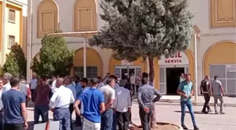 Son dakika haberi | NUSAYBİN KIRSALINDA ODUN TOPLAYANLARA SİLAHLI SALDIRI 1 ÖLÜ, 1 YARALI