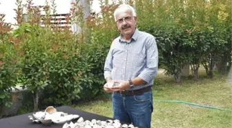 SMYRNA AGORASI'NDA OSMANLI FİNCANLARI BULUNDU