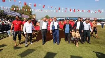 Manisa haberi! Turgutlu Belediyesi Yörük Mehmet Yağlı Güreşleri 8 Ekim'de Yapılacak