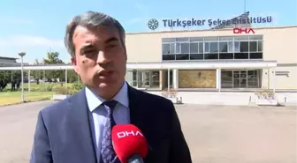 Yerli şeker pancarı tohumunda hedef ihracat