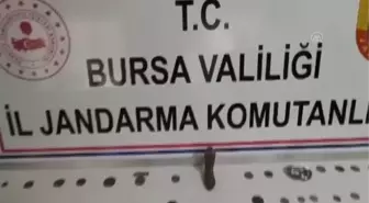 Bursa gündem haberleri | Bursa'da 161 sikke ele geçirildi