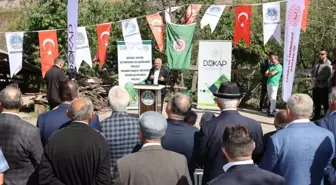 Ordu haberleri... Tescilli Akkuş şeker fasulyesi törenle hasat edildi