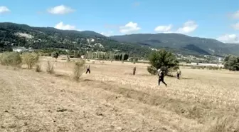 Son dakika haberi... Kayıp olarak aranan yaşlı çiftçi, 11'inci gün ölü olarak bulundu