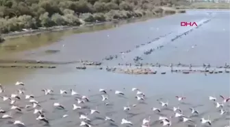 Son dakika haberleri | AYDIN JANDARMADAN BAFA GÖLÜ'NDE DENETİM