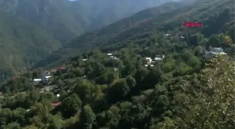BİR KÖYÜN KADERİNİ DEĞİŞTİREN ROMAN; ÇALIKUŞU