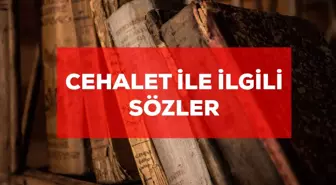 Cehalet ile ilgili sözler: Anlamlı cehalet ile ilgili kısa sözler! Cehalet sözleri!