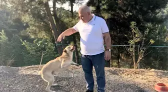 ALTSO Başkanı Şahin'den otel atık yemeklerinden sokak hayvanları için mama projesi