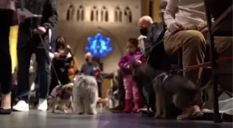 Evcil hayvan sahipleri Manhattan'daki 'Blessing of the Animals' etkinliğine katıldı