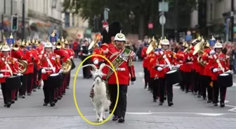 Kraliçe Elizabeth'in cenaze törenindeki keçinin şeytana saygıyı temsil ettiği iddiası