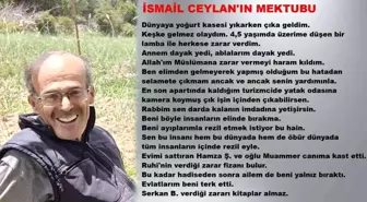 Son dakika haberi: Serada ölü bulunan yaşlı çiftçinin bıraktığı son mektup akılları karıştırdı